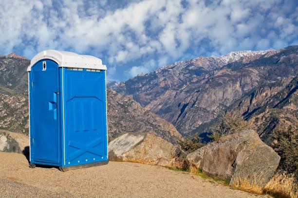 Best Portable restroom solutions  in Shenandoah, LA